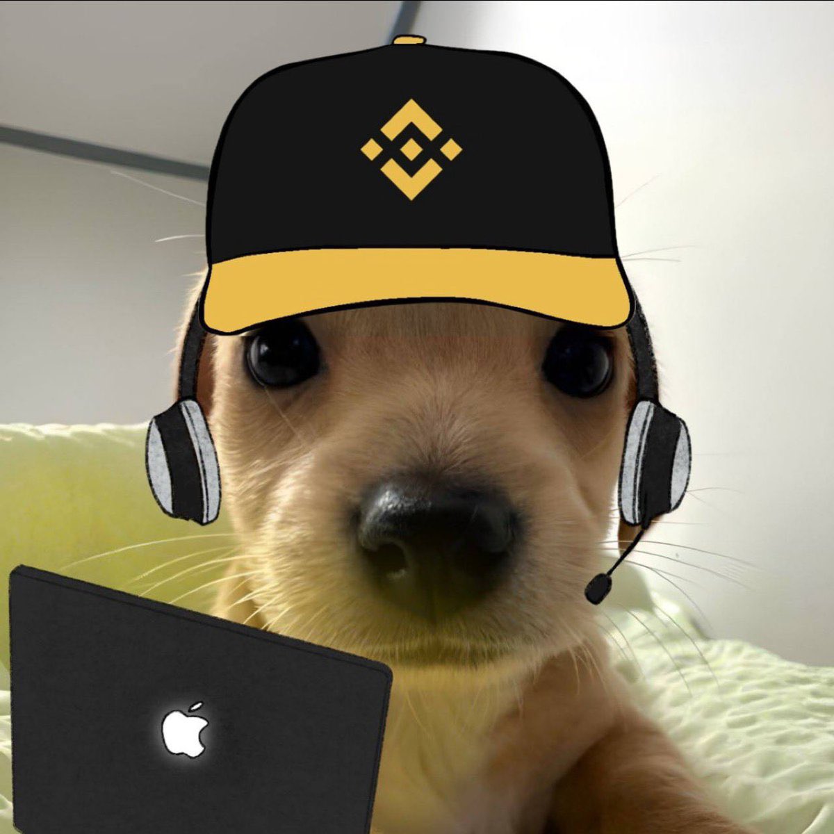 sky51666's tweet photo. @binance https://t.co/ASL7ZFeFbj
