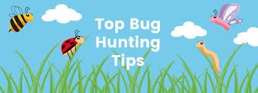 bountywriteups's tweet image. 📚 The Smarter Bug Hunting (For Low Hanging Bug)

📌 Step 1: Gather Recon Data
The foundation of bug hunting is solid reconnaissance. Use tools like Amass and Subfinder to discover subdomains.

#amass enum -d target.com  
#subfinder -d  -o