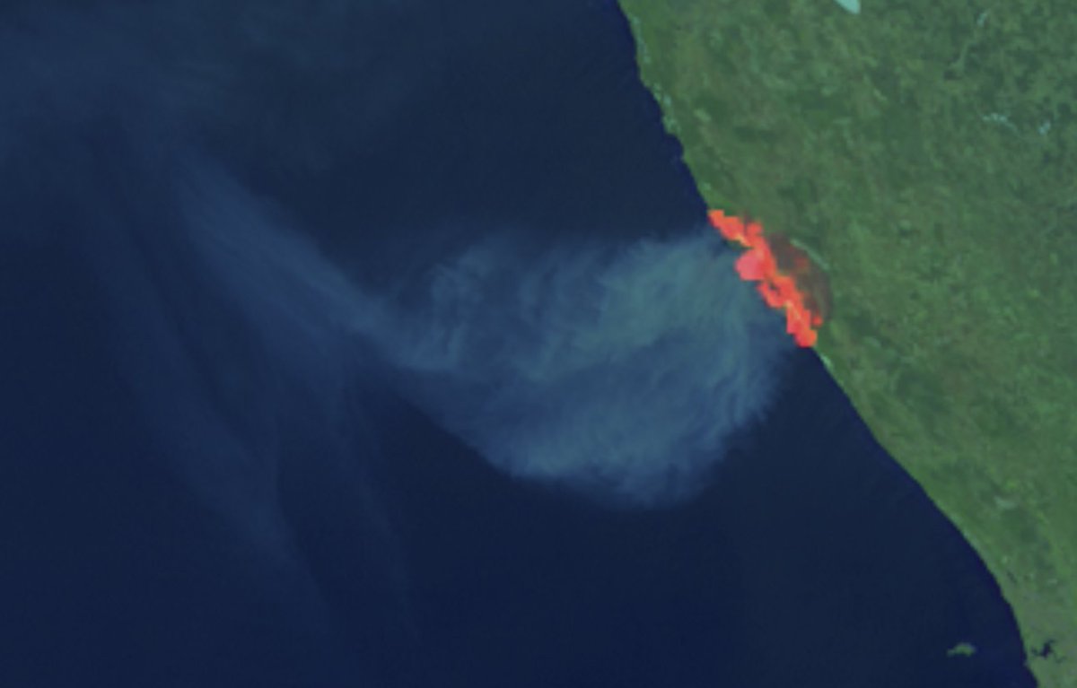 James Holbeach - Left for bsky tweet media