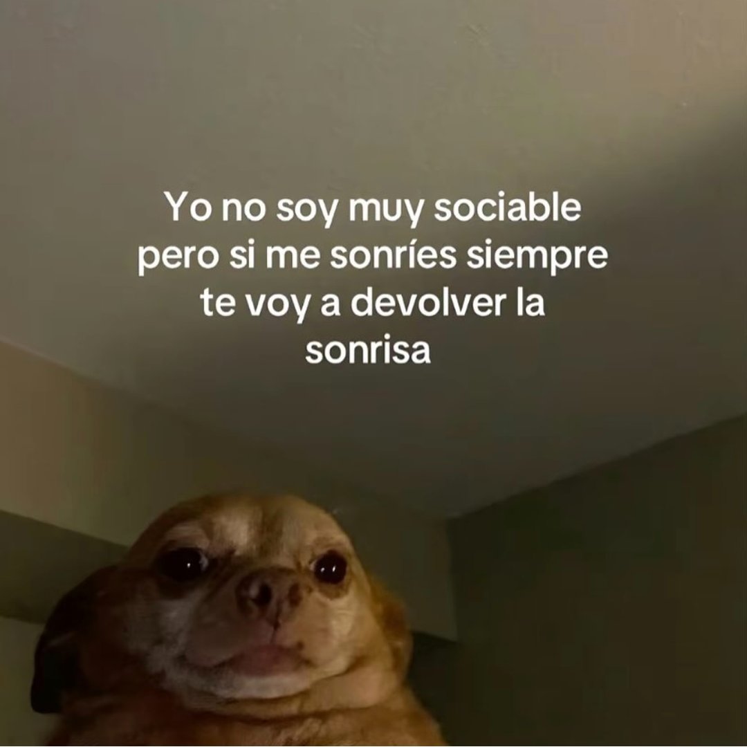 En Júpiter (@en_jupiter_) on Twitter photo 