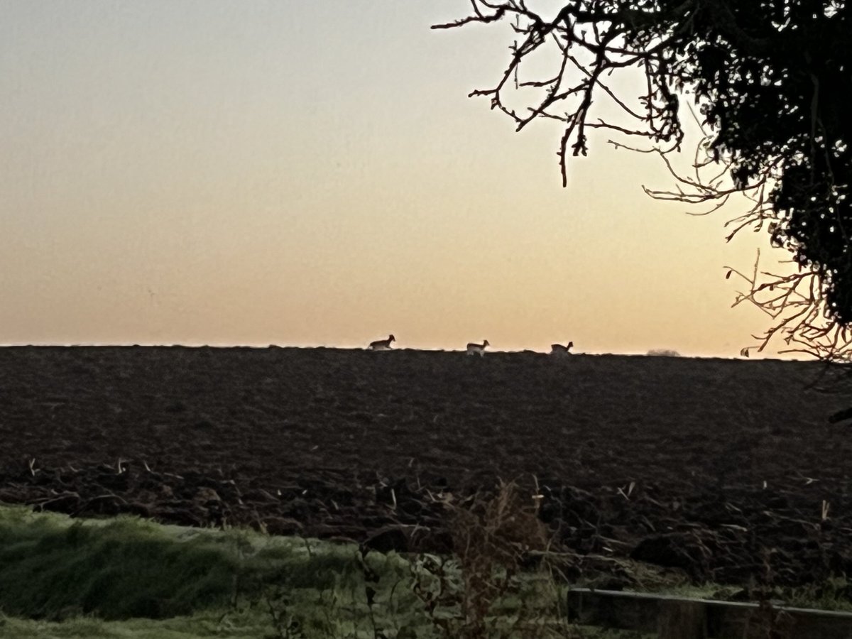 To use Mortimer and Whitehouse’s phrase “and away”