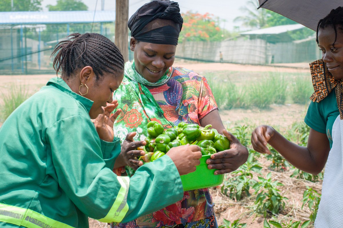 In 🇲🇿, UNHCR   is reaching thousands, providing essential humanitarian assistance, protection &amp; shelter to displaced people &amp; host communities.

On this Thanksgiving, we also celebrate the generosity of the American🇺🇸 people and <a href="/StatePRM/">Bureau of Population, Refugees, and Migration</a> for the immense support to our cause. 🙏