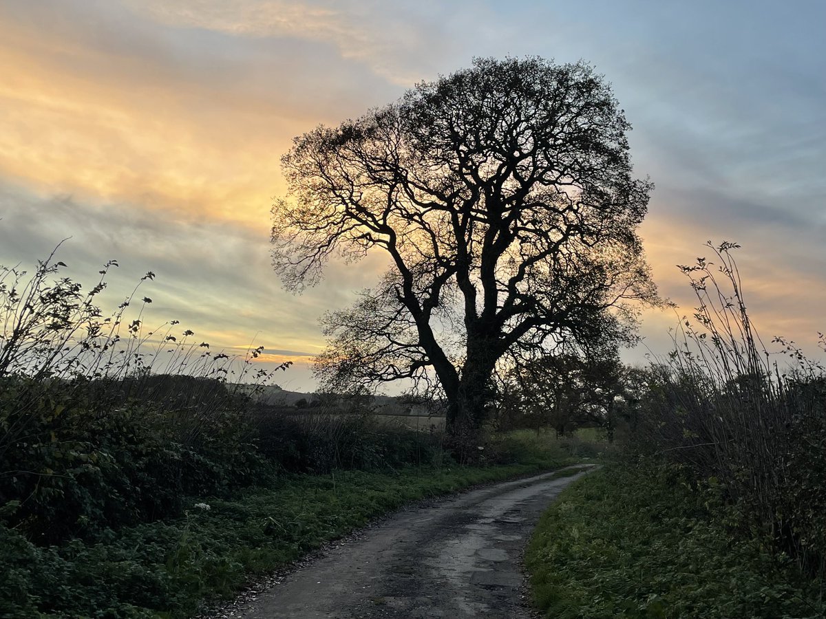 MickletonGlos's tweet image. #Mickleton