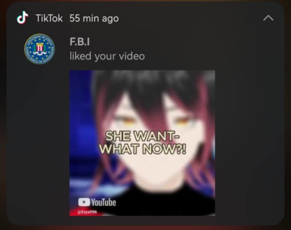 Eryx PHVtuber tweet media