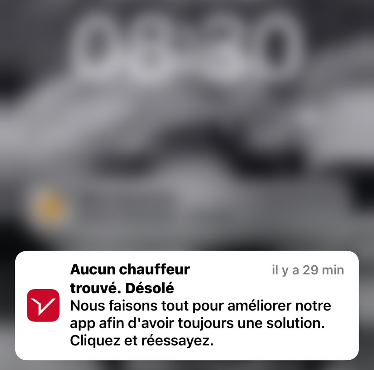 Alexandre Lenoir 🦋 🇫🇷🇪🇺🇺🇦 tweet media