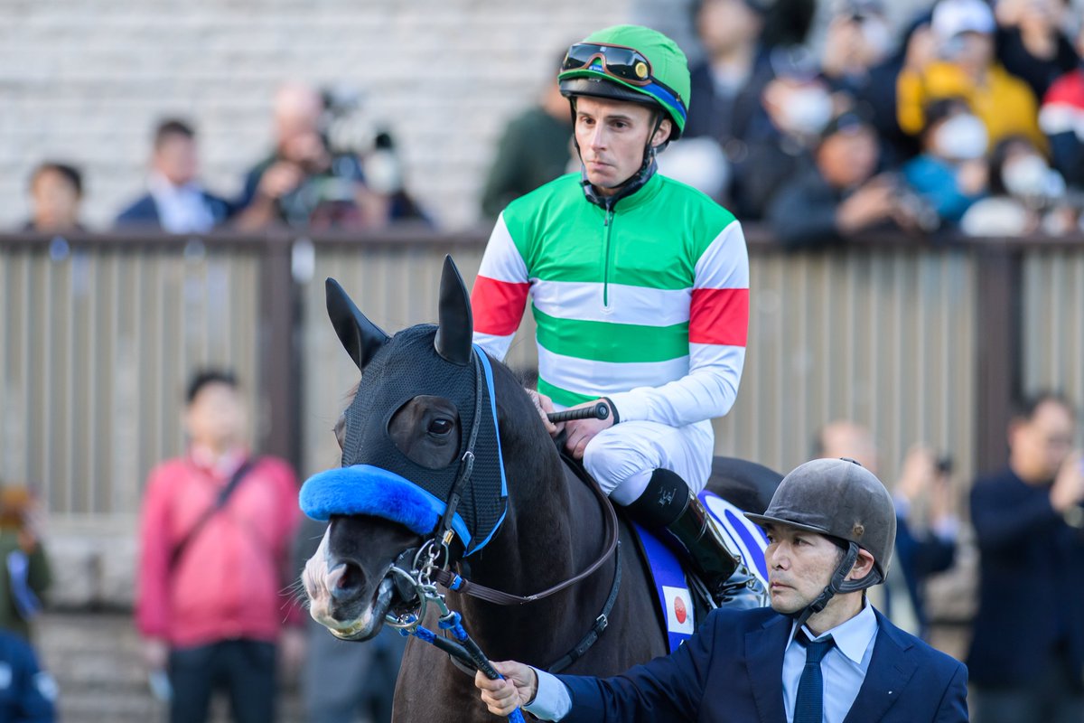 eclipse__first's tweet photo. 2024.11.24 東京12R
ジャパンカップ JAPAN CUP 🌏
6枠 ⑩番
ドゥレッツァ Durezza × W.ビュイック騎手 🫧
#ジャパンカップ #JapanCup
#ドゥレッツァ #Durezza
#Wビュイック https://t.co/sMEd8hhIgV