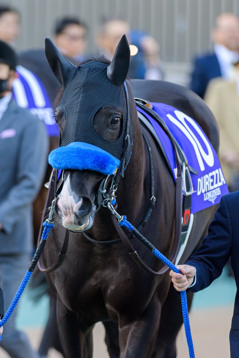 eclipse__first's tweet photo. 2024.11.24 東京12R
ジャパンカップ JAPAN CUP 🌏
6枠 ⑩番
ドゥレッツァ Durezza × W.ビュイック騎手 🫧
#ジャパンカップ #JapanCup
#ドゥレッツァ #Durezza
#Wビュイック https://t.co/sMEd8hhIgV