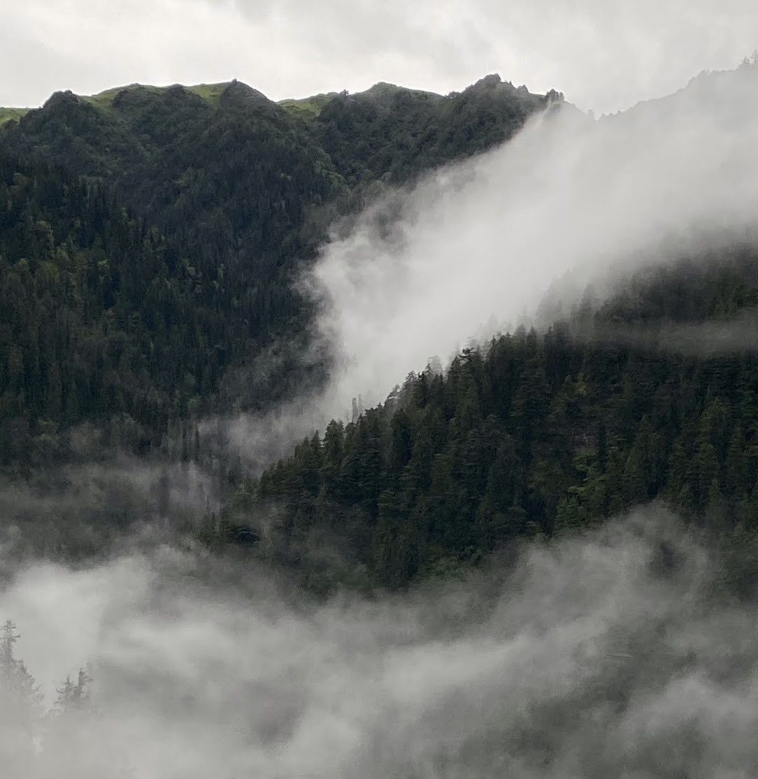 himachal in monsoon is my favorite genre