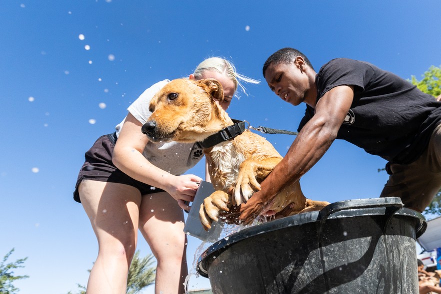 GroundUp tweet media