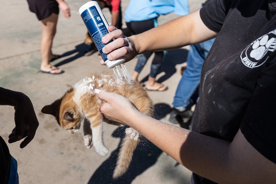 GroundUp tweet media