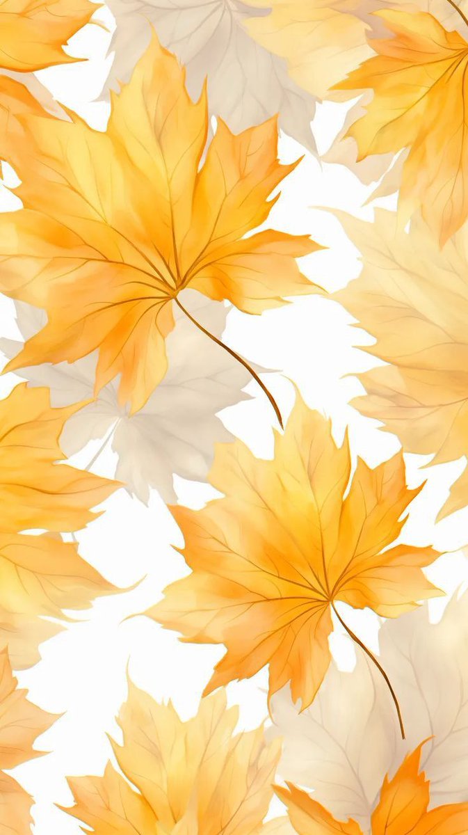 고곡창 (@gogokchang) on Twitter photo 