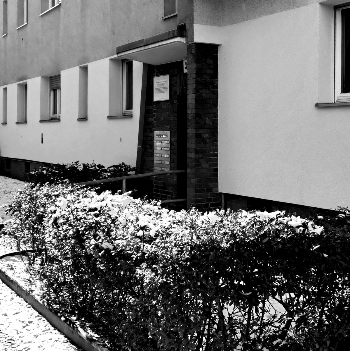Stift_und_Bogen's tweet photo. ✍️ "Ihr glanzvoller Aufstieg wird zu verfolgen bleiben." (1929)
Jenaer Straße 3, Wilmersdorf. Erinnerung an Lotte #Laserstein (* 1898 (#otd), † 1993), Malerin der "Neuen Frau", unter den Nazis als so genannte "Dreivierteljüdin" diskriminiert und nach Schweden geflohen.
#Berlin https://t.co/3UUZJ5wS5l