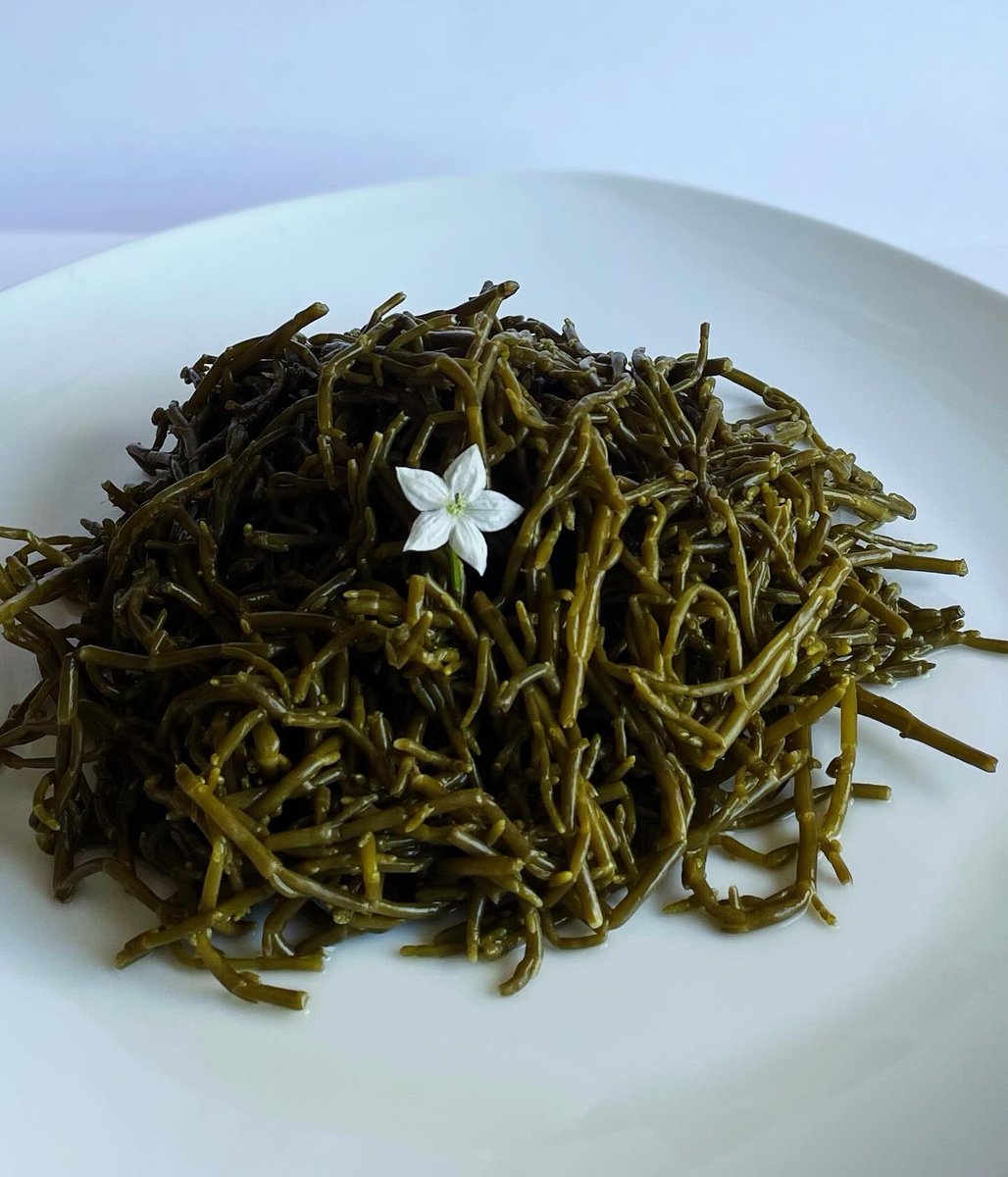 salivitae's tweet photo. Salicornia, Honey &amp; Ginger Pickles - Sweet meets savory in this delightful mix. Infused with the natural sweetness of honey and the zing of ginger, this version not only satisfies your taste buds but also boosts your immune system and aids digestion! https://t.co/tdcGr3v8dE