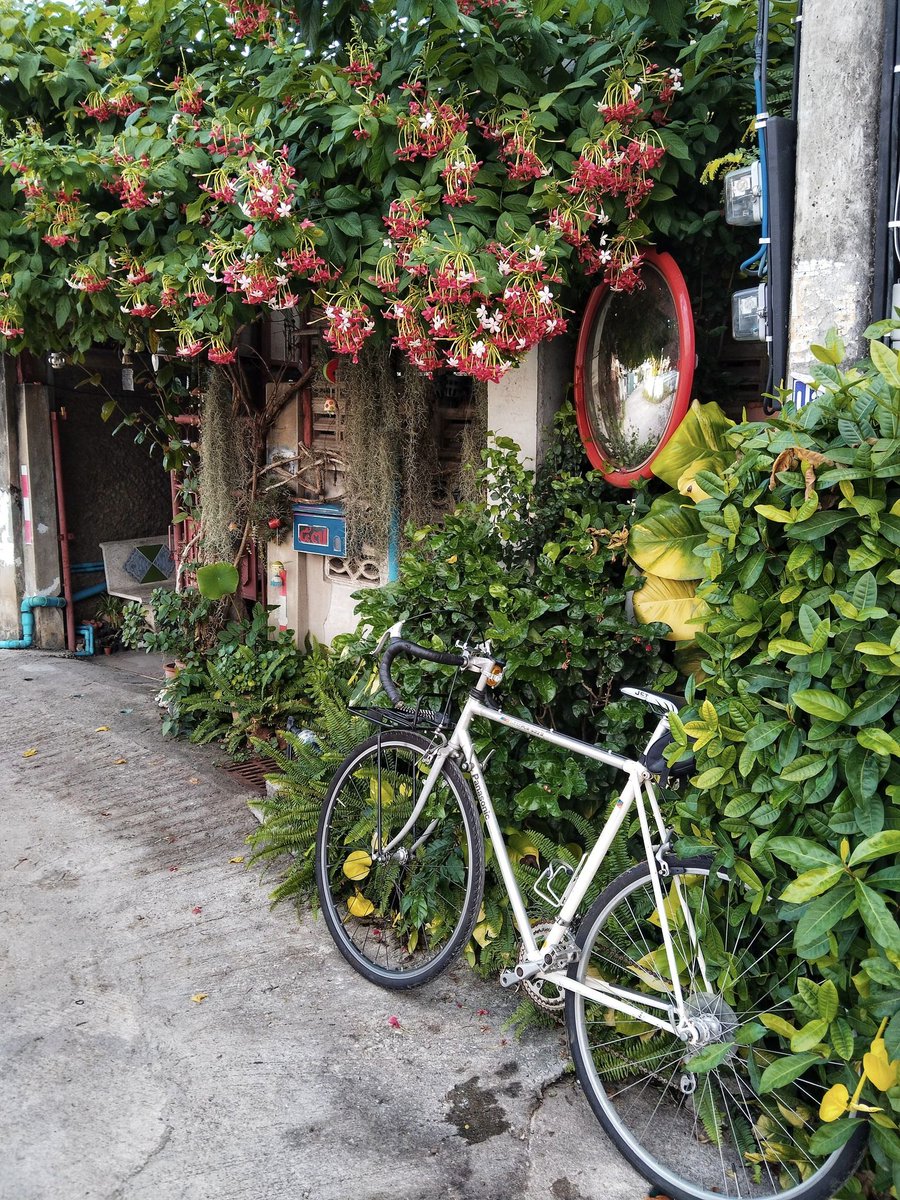 nkbicycle's tweet photo. ปั่นยามเช้า https://t.co/SWueVcXJqV