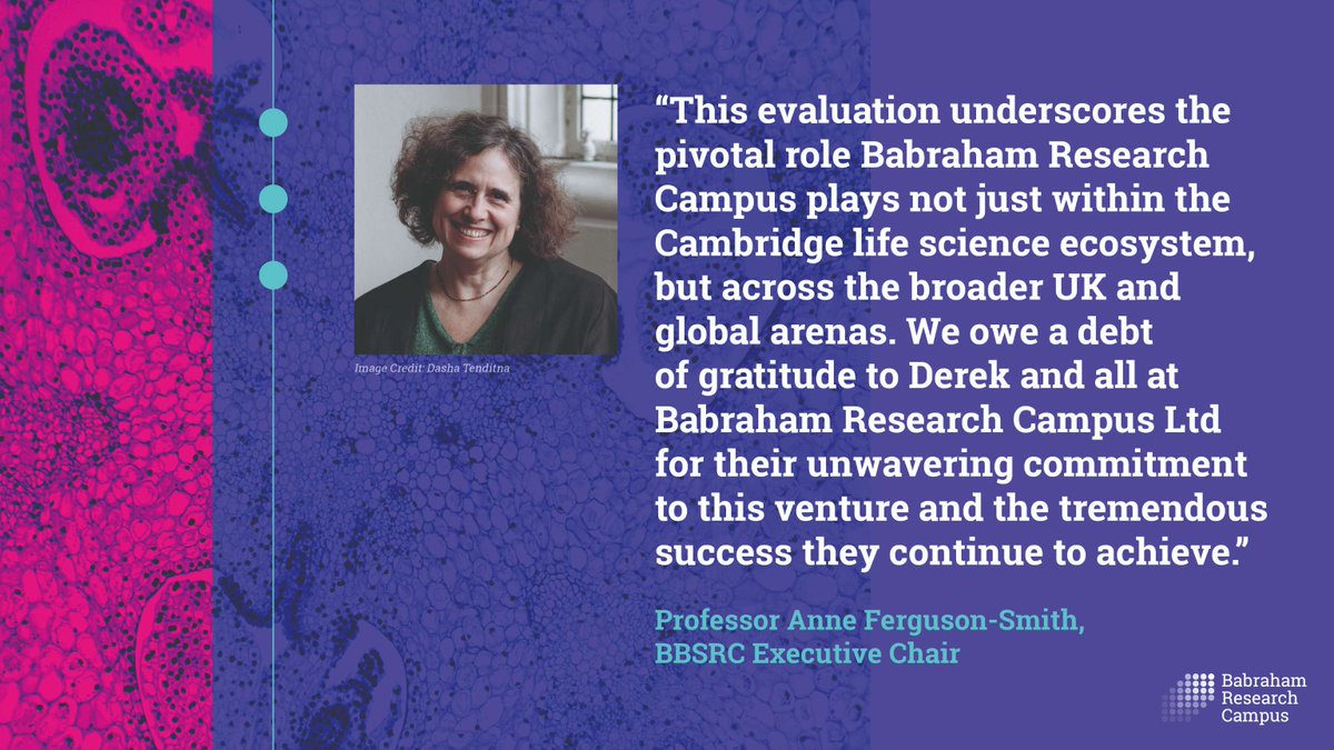 📢 We're thrilled to unveil the Babraham Research Campus Impact Report 2023/24 that reveals the tangible impact we are delivering across the Campus community, within the Cambridge Cluster and beyond. 
Explore it here - bit.ly/4icjoGv
#BabrahamImpact