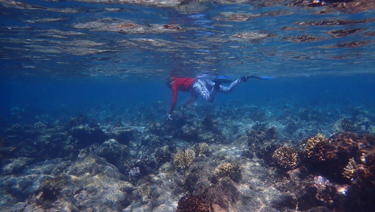 Global Change Ecology Lab tweet media