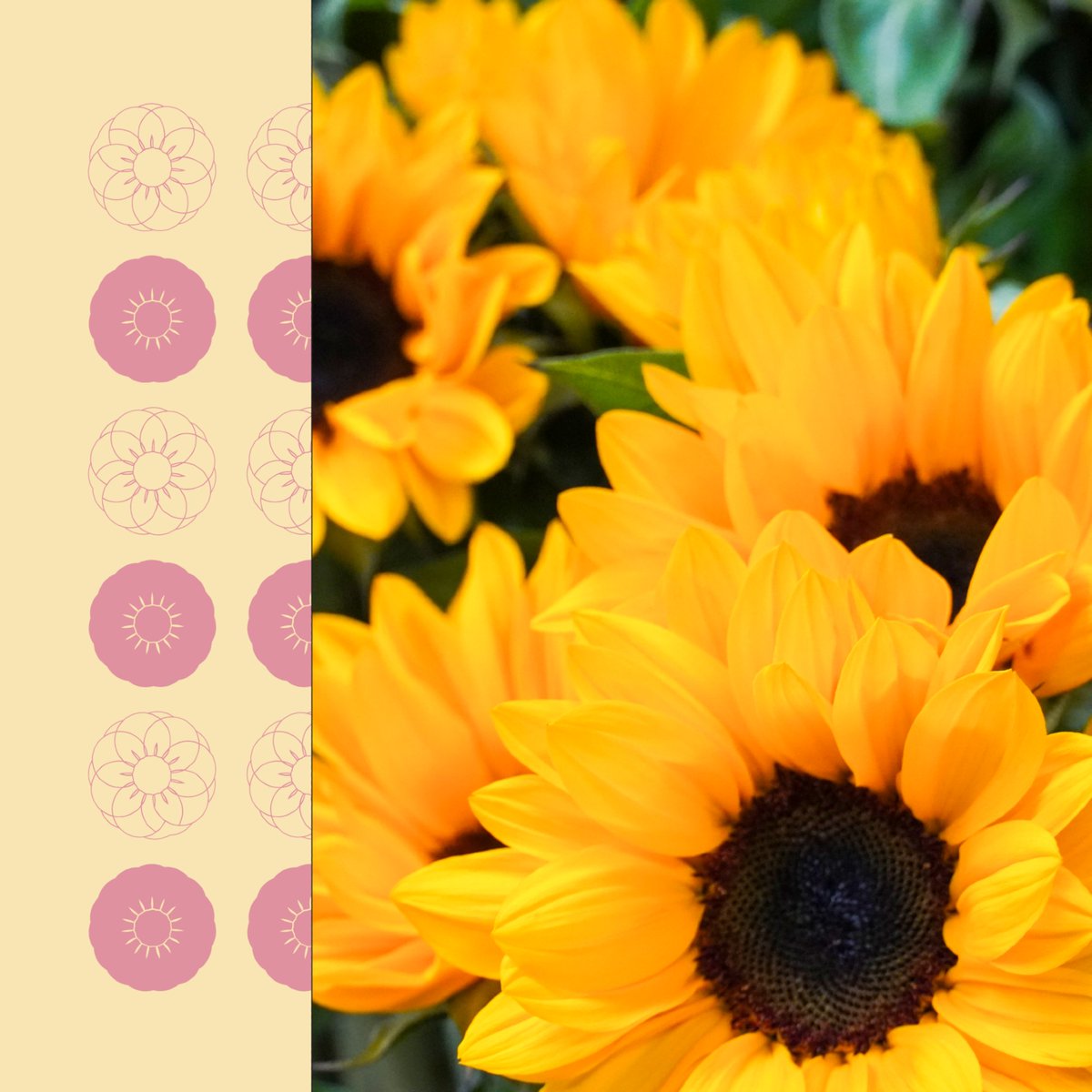 ✨💐 Empieza la cuenta atrás de Navidad y en Alimer ya lo tenemos todo preparado. Por supuesto no pueden faltar las flores, hemos cuidado cada detalle durante meses para que luzcan así de especiales.
📲 Reserva ya tus pedidos llamando al +34 620 081 720.

#Alimer #Flores #Navidad