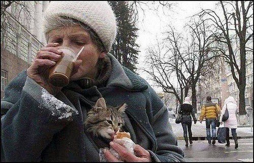 NoCatsNoLife_m's tweet photo. https://t.co/0zyAHkgukZ