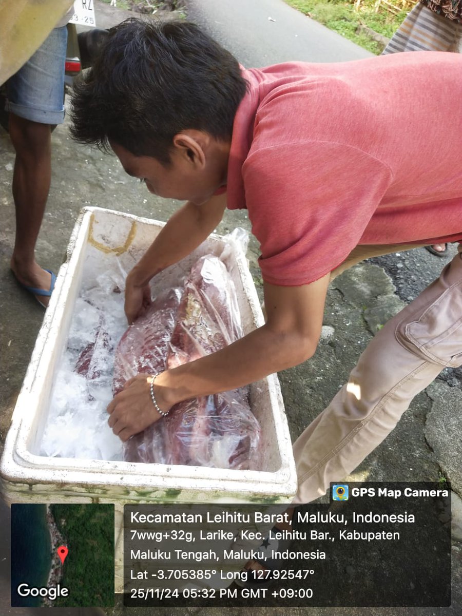 irwan_ibr's tweet photo. Senin (25/11/24), Irwan Ibr, Luhkan MalTeng, di KUB Tuna Jaya (La Isman ) Dsn Lay, Melaporkan tangkapan Tuna Loin  60 Kg Harga Jual 82.000/Kg dgn pancing Ulur, November 2024.  
  #GiatLuhkanSatminkalAmbon #MalukuTengah #tangkap
@BP3_Ambon https://t.co/rRUTLjEkww