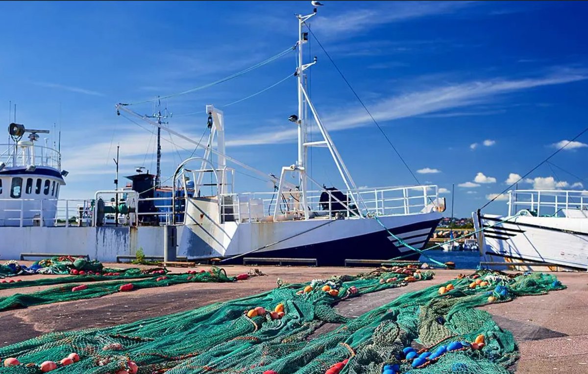 STOA Panel (@ep_sciencetech) on Twitter photo Starting soon!
🔴9:30h CET: #STOAPanel in #EUParliament
With study outcomes on innovation in water & ocean (#WaterKIC <a href="/EITeu/">European Institute of Innovation & Technology</a>) & sustainable #fishing methods
👉Interview with study author <a href="/navigate4sea/">Francois Bastardie</a>: sciencemediahub.eu/2024/09/25/pre…
📺Watch live: europa.eu/!48KK9k Starting soon!
🔴9:30h CET: #STOAPanel in #EUParliament
With study outcomes on innovation in water & ocean (#WaterKIC <a href="/EITeu/">European Institute of Innovation & Technology</a>) & sustainable #fishing methods
👉Interview with study author <a href="/navigate4sea/">Francois Bastardie</a>: sciencemediahub.eu/2024/09/25/pre…
📺Watch live: europa.eu/!48KK9k