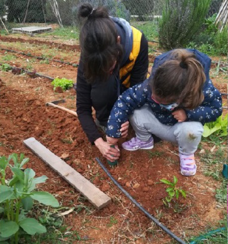 Consell Social UIB tweet media