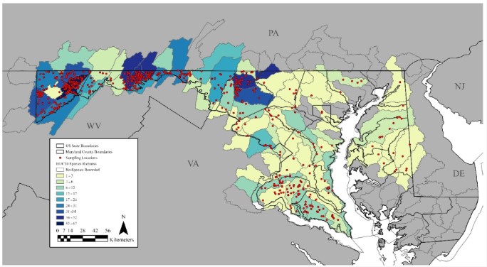 EcologiesMDPI's tweet image. “#Distributional Trends and Species #Richness of Maryland, USA, #Stoneflies, with an Emphasis on the Appalachian Region” by Phillip N. Hogan and Scott A. Grubbs 👉brnw.ch/21wKQ6n. 

The article has captured the attention of scientists world wide with over 2300 reads! 🪰