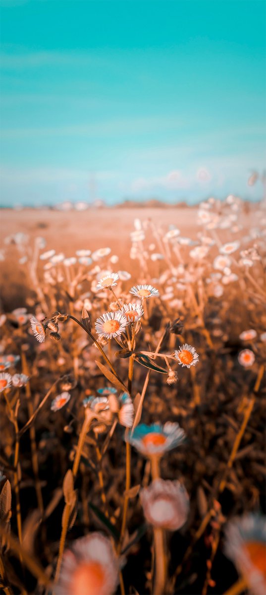 Wall_byCreative's tweet photo. Good Morning, wishing you the best for the day 💛

Photo credit goes to Xianyu hao 🙌

New Wallpaper