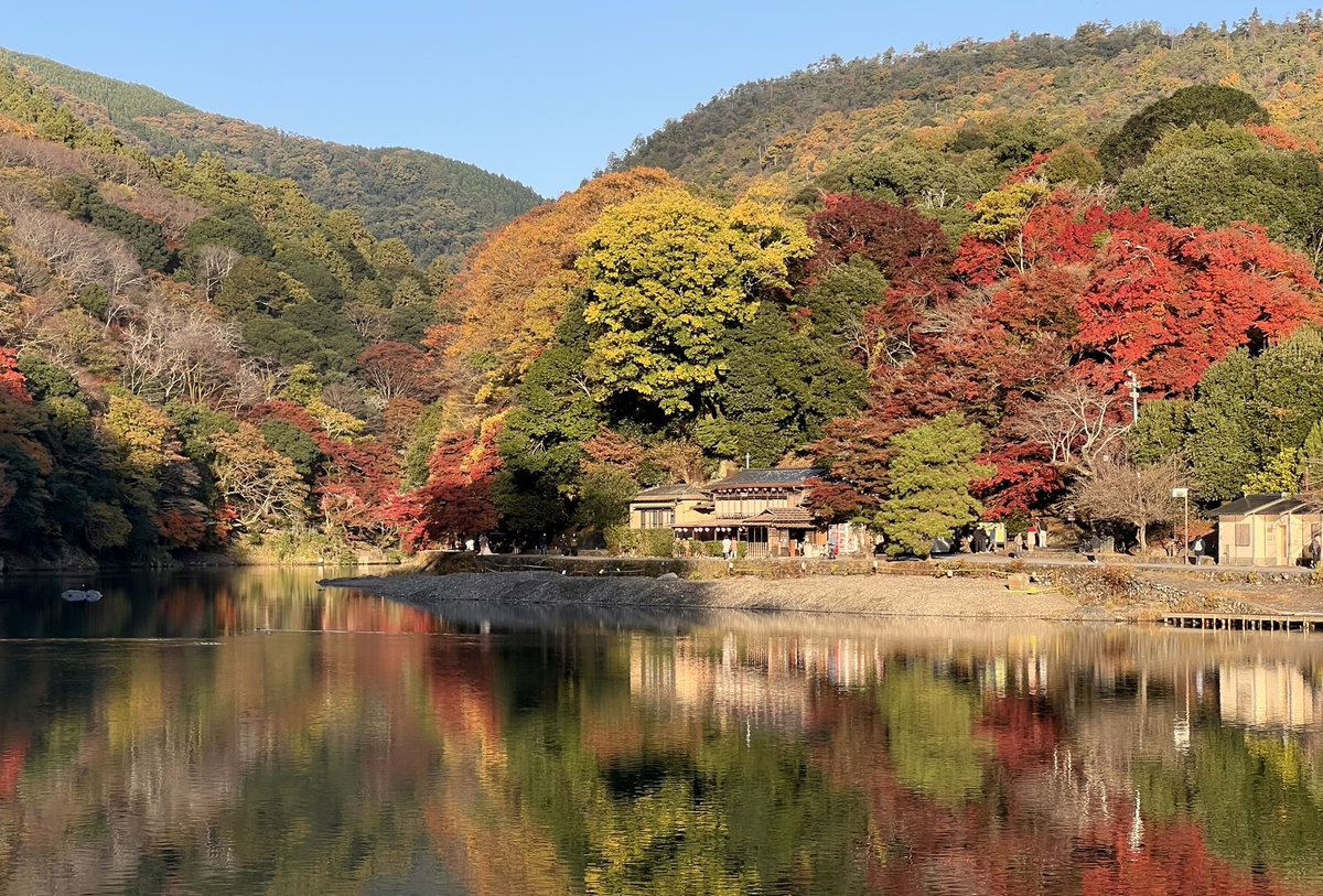 wahaha's tweet photo. 今日（11月28日）京都嵐山的紅葉情況，簡單說就是「見頃」，來看就對了。 https://t.co/4oXNulxjSb