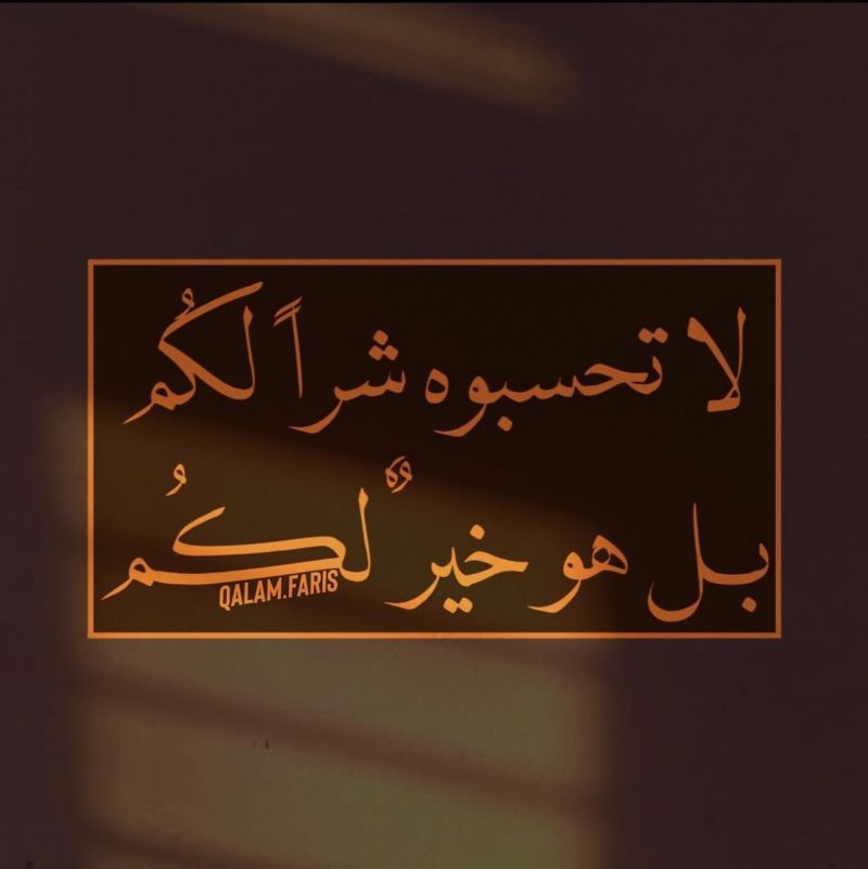 #صباح_الخير