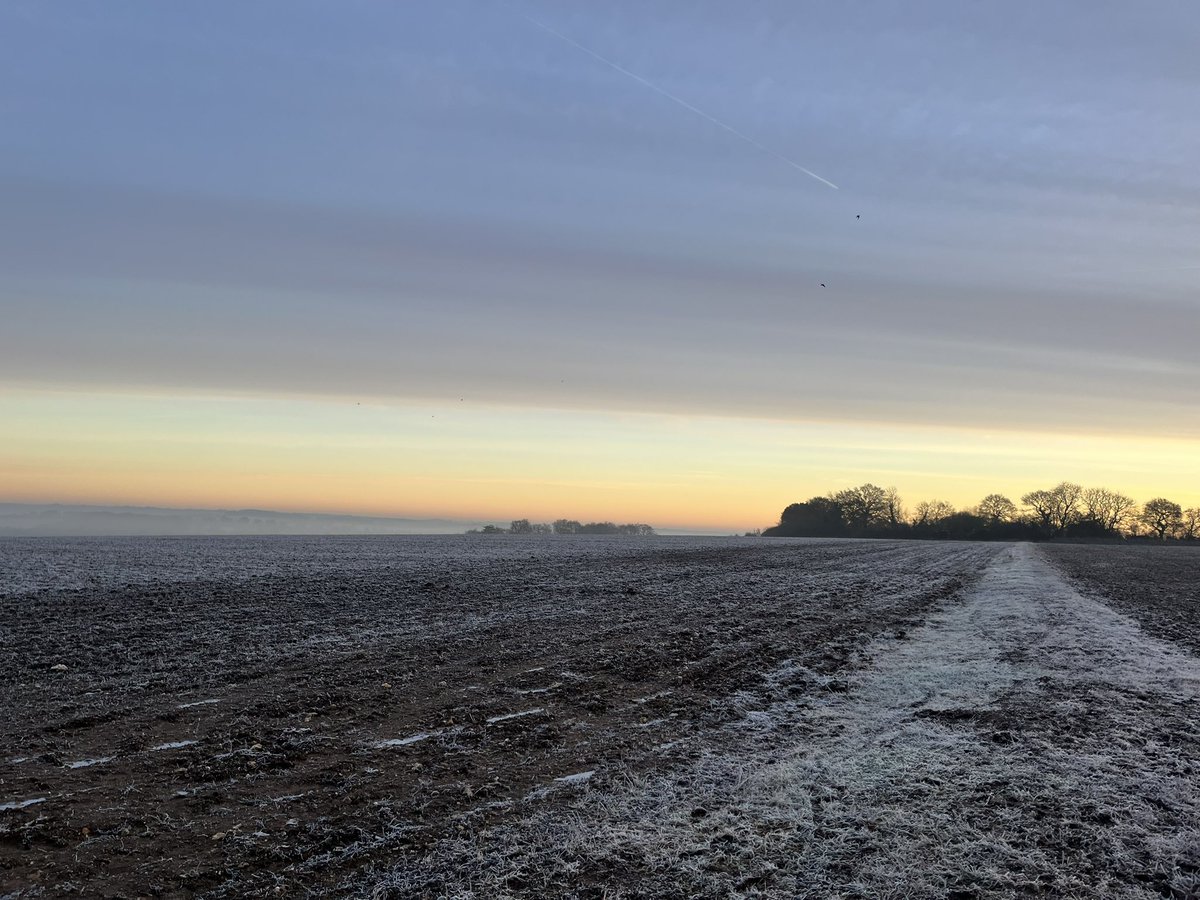 Laura Lerwill tweet media