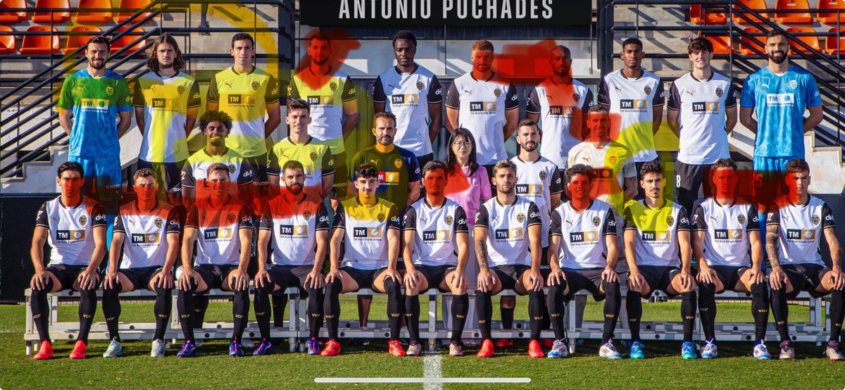 En mi opinión todos los que están en rojo NO MERECEN vestir el escudo del Valencia y lo tienen regalado por la situación del club y los de amarillo serian SUPLENTES validos en una plantilla en condiciones ¿ Estás de acuerdo ?