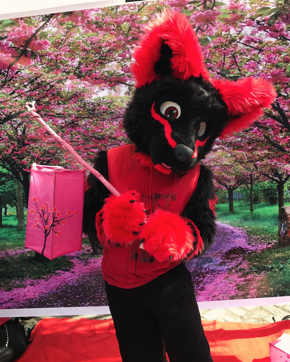 Kleine Asiat Wolfoxky 🇲🇨 🇦🇺 tweet media