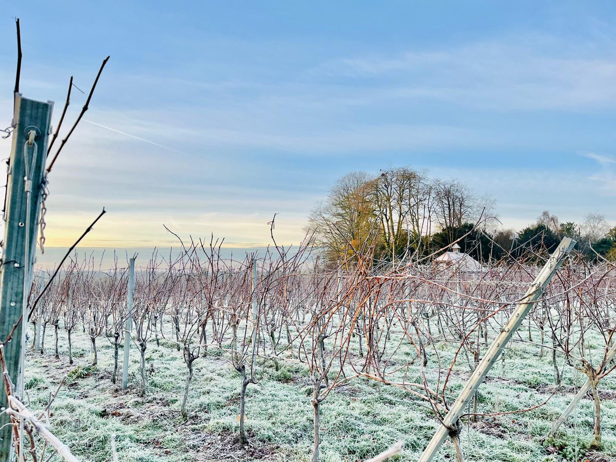 Just a little tease for the <a href="/yourbenpraters/">Ben Prater</a> radio advent calendar - I'm out recording some festive visits to some cracking Wiltshire gems! <a href="/BBCWiltshire/">BBC Wiltshire</a>