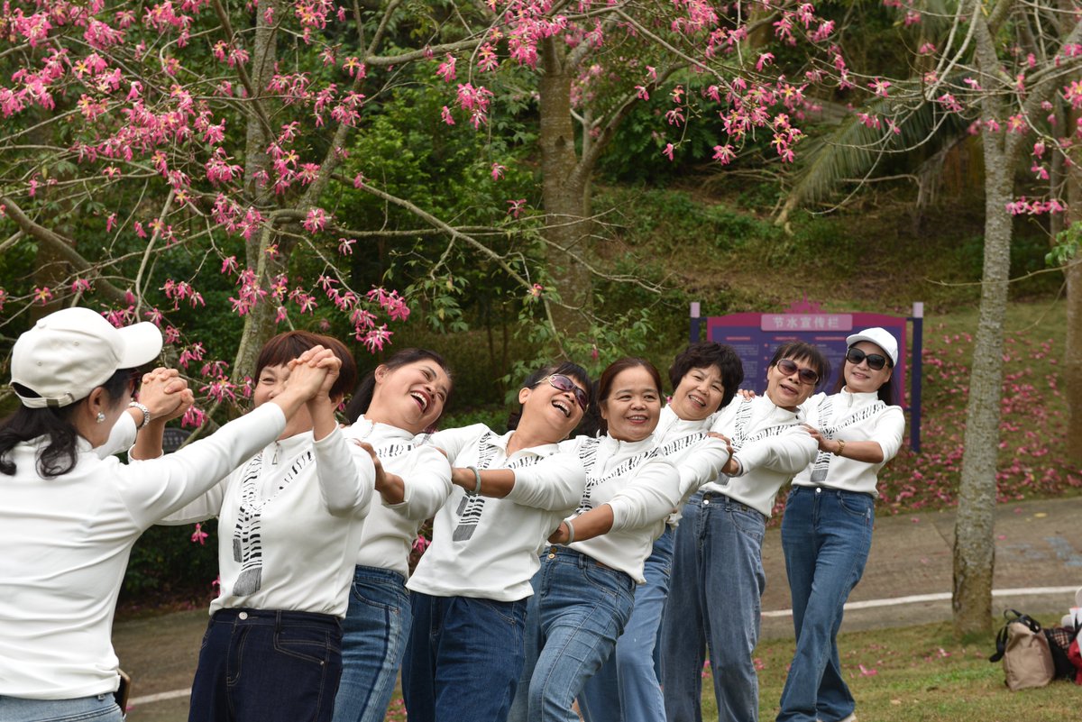 HainanToday's tweet image. October to December is the best time to enjoy the beauty of the #floss #silk #tree. In the Xiangshan Fragrant Culture Park, #Hainan’s #Tunchang County, nearly a hundred floss silk trees are in full #bloom, making it a popular place to take #outdoor photos.
#winter #flower