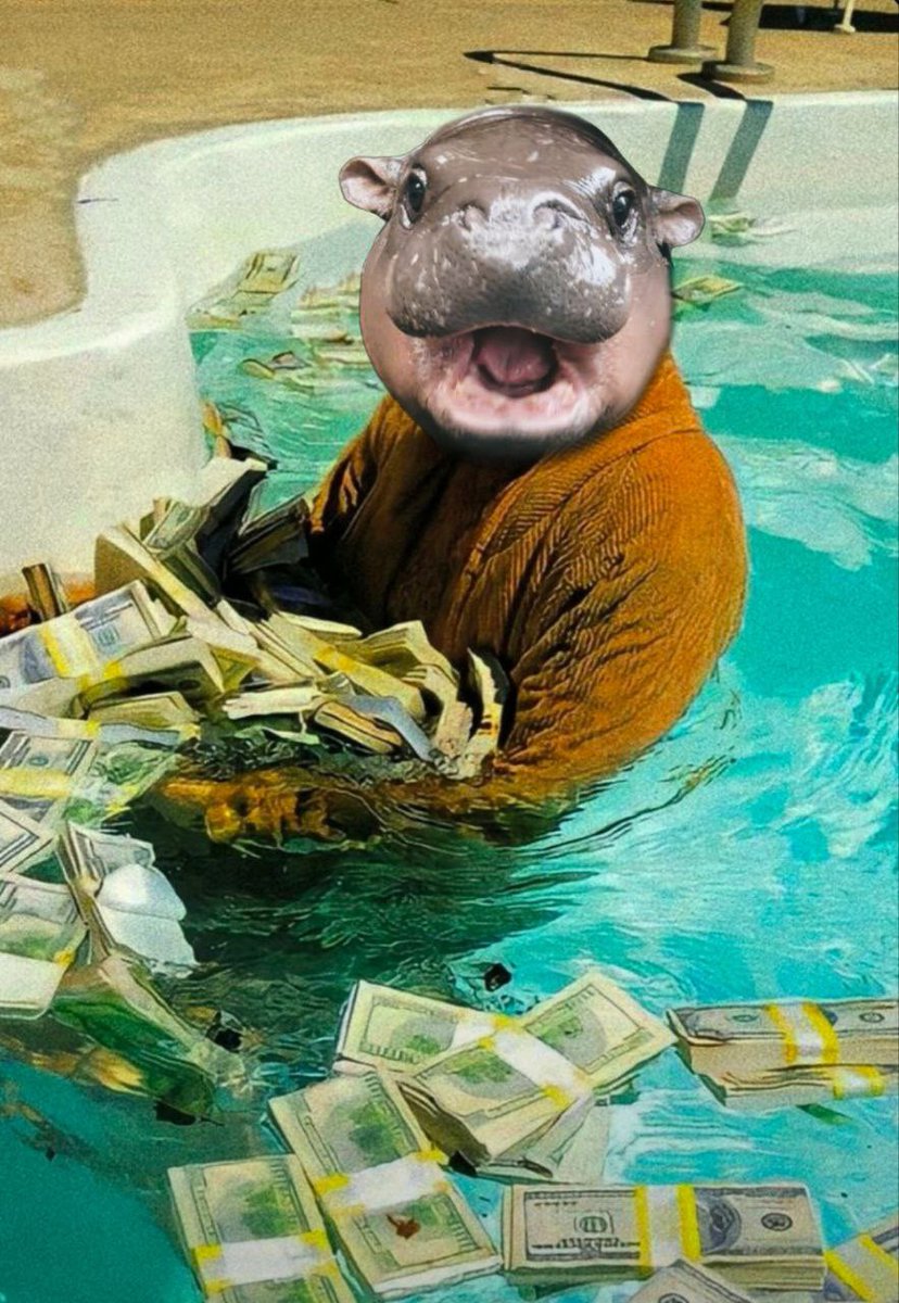 hippo_cto's tweet photo. Check out this HUGE prize pool.. 

Awesome to be partnering with our friends at @Bybit_Web3 again!

Go get your $HIPPO rewards.
Full details below 👇 

✨🦛 https://t.co/h65W8RHB3f