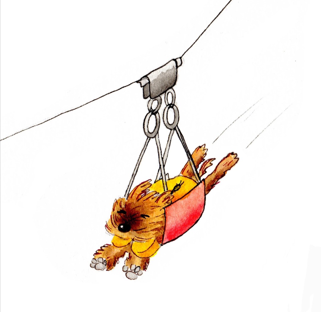 Claire Lewis 📕 (@claireflewis) on Twitter photo Very excited and delighted to announce that my debut illustrated picture book 'The Go Away Rain Dance' will be published by the lovely <a href="/hb_publishing_/">HB Publishing House</a> in Feb 2026! 🐾🌧️💦 Very excited and delighted to announce that my debut illustrated picture book 'The Go Away Rain Dance' will be published by the lovely <a href="/hb_publishing_/">HB Publishing House</a> in Feb 2026! 🐾🌧️💦
