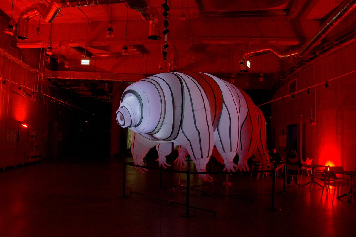 L3Dmapping's tweet photo. There’s still time to visit Fénydóm Budapest and experience the magic of Water Bear! Check out our crowd-favourite light art installation until December 8.

Tickets: https://t.co/1hn7bS7INh https://t.co/U8hlVdQ6d7