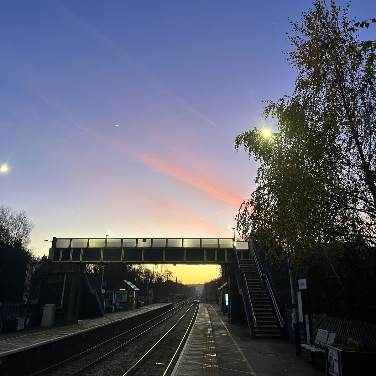 Anne C Gallacher tweet media