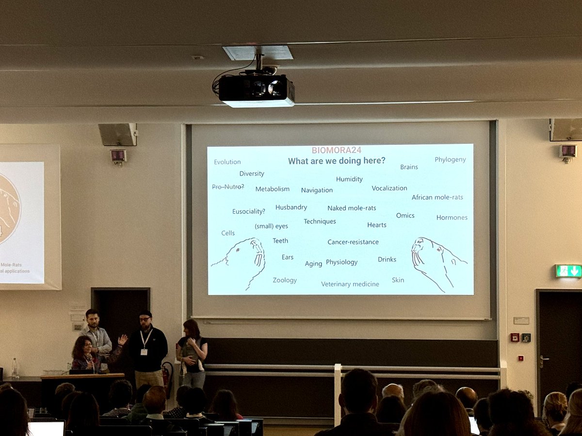 MPI for Neurobiology of Behavior – caesar (@mpinb_outreach) on Twitter photo Kicking off #BIOMORA24! Welcome to Bonn everyone. We are looking forward to two days of fantastic talks, posters and discussions - it’s all about #mole-rats!
<a href="/MalkemperLab/">Malkemper_Lab</a> <a href="/MpiBrain/">MPI for Brain Research</a> <a href="/CECAD_/">CECAD Cologne</a> Kicking off #BIOMORA24! Welcome to Bonn everyone. We are looking forward to two days of fantastic talks, posters and discussions - it’s all about #mole-rats!
<a href="/MalkemperLab/">Malkemper_Lab</a> <a href="/MpiBrain/">MPI for Brain Research</a> <a href="/CECAD_/">CECAD Cologne</a>