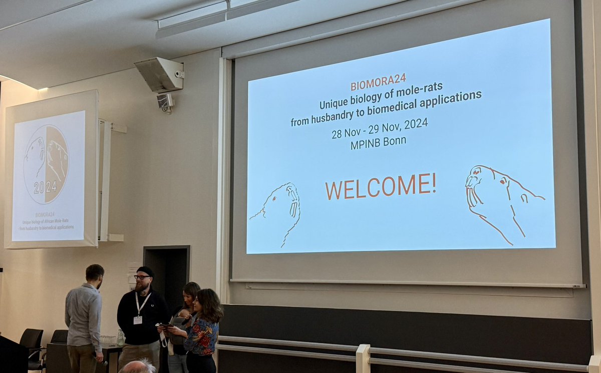 Ewan St. John Smith tweet media