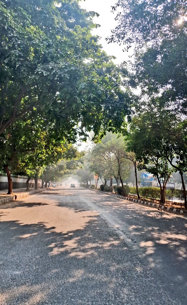 rethinkaboutme's tweet photo. Only sunlit paths can fix me.. https://t.co/anD9lq60Zs