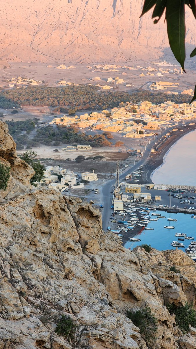 شموخ مسندم tweet media