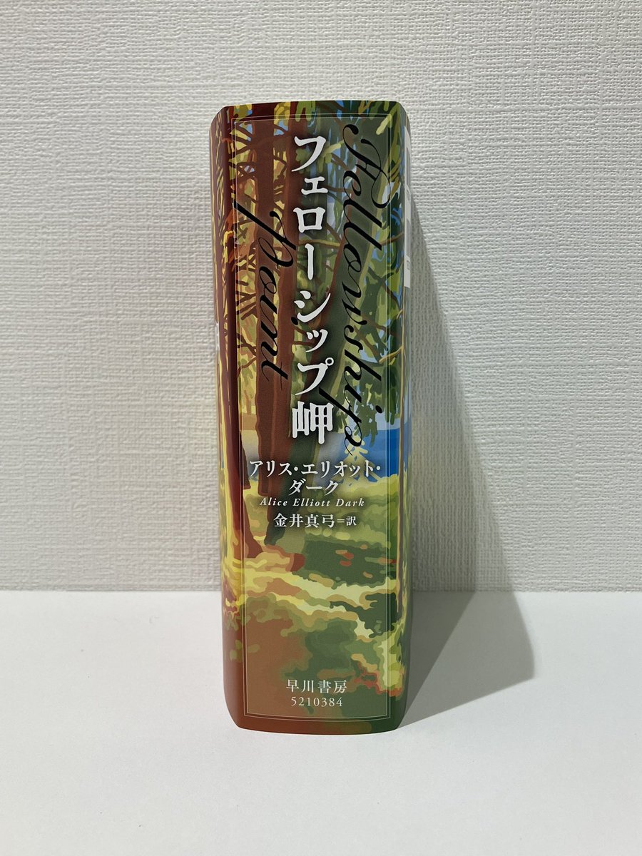 takuboqui's tweet photo. 年末のお楽しみ、鈍器本です！

80年にわたる女性たちの友情、そして秘密を描いた全米ベストセラーです。
『フェローシップ岬』アリス・エリオット・ダーク、金井真弓訳、12/4発売！ https://t.co/7i1mh75RnV