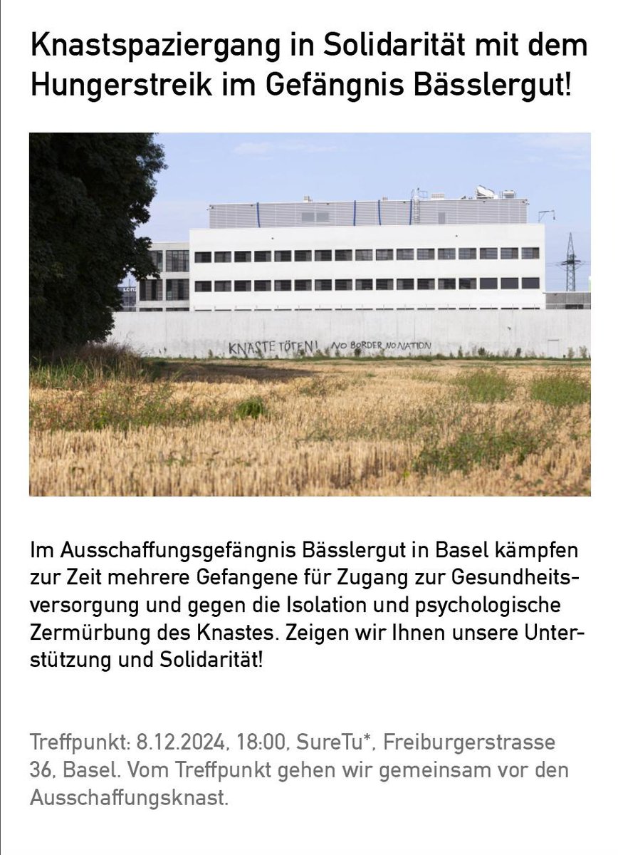 3 Rosen gegen Grenzen tweet media