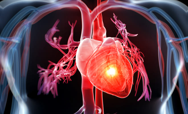 El asesino en serie más prolífico de la historia:

Cardiopatía.

Es la causa de 1 de cada 5 muertes en la mayoria de Paises.

¿Quieres protegerte?

Aquí hay 10 alimentos que destaparán tus arterias: