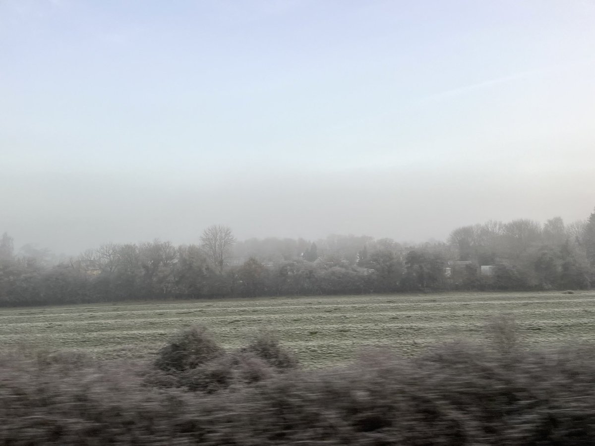 Emily Gee tweet media