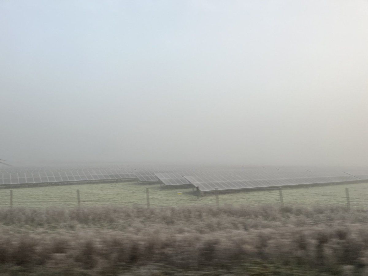 Emily Gee tweet media