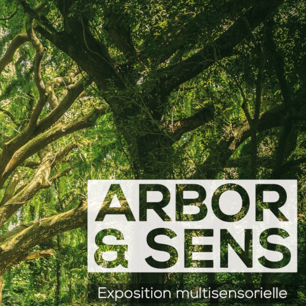 bibUT2J's tweet photo. [Arbor &amp; Sens] Exposition multisensorielle et accessible sur le thème de l’arbre, sur le campus de Montauban.
📆 Du 26 novembre au 18 décembre 2024
📍 #MONTut2j
ℹ️ https://t.co/PhS4FqYoHN https://t.co/4mAdRFqTuX