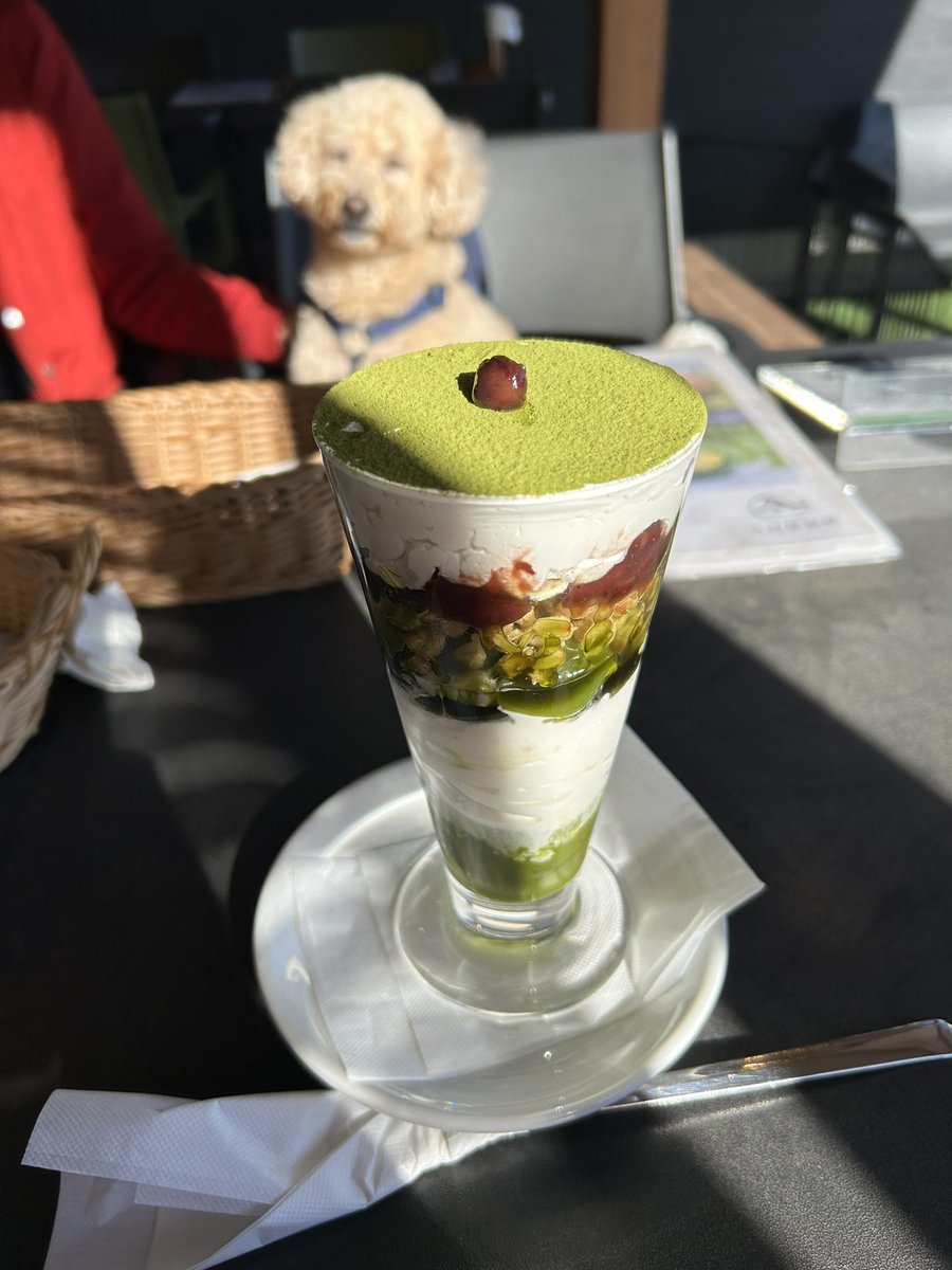 EncgH's tweet photo. お友達のわんちゃんとテラスでランチ🍖
美味しかったね！
その後の公園お散歩したのも楽しかったよ🎵

#入母屋珈琲  #テラスでランチ  #犬連れランチ 
#ハンバーグランチ #パフェ #ケーキ　#デザート
#カフェ　#トイプードル　#癒しわんこ 
#犬スタグラム #いぬのいる暮らし https://t.co/3EcsTg0SsN