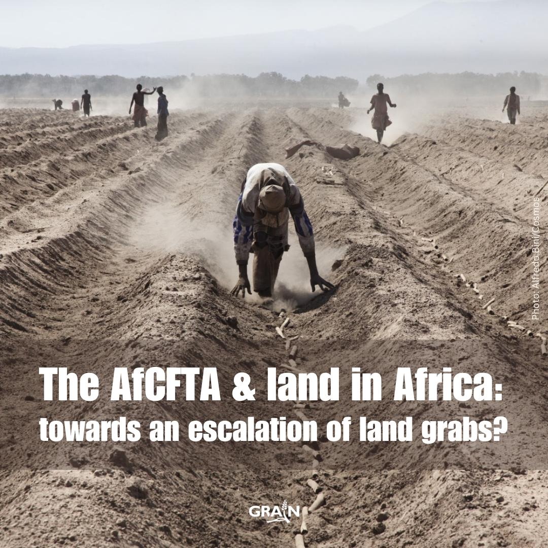 GRAIN (@grain_org) on Twitter photo ๐จ Will the African Continental Free Trade Area #AfCFTA allow multinationals to expand their stranglehold on #land? If its protocol on investment is anything to go by, the answer may well be yes. Analysis from <a href="/Mohamedcoul/">Mohamed Coulibaly</a> and GRAIN: grain.org/e/7213 <a href="/via_campesina/">La Via Campesina (Official EN)</a> ๐จ Will the African Continental Free Trade Area #AfCFTA allow multinationals to expand their stranglehold on #land? If its protocol on investment is anything to go by, the answer may well be yes. Analysis from <a href="/Mohamedcoul/">Mohamed Coulibaly</a> and GRAIN: grain.org/e/7213 <a href="/via_campesina/">La Via Campesina (Official EN)</a>